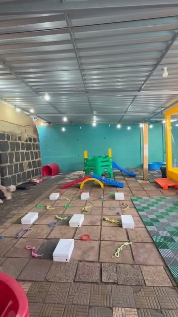 Área interna da creche da Thor Pet Spa